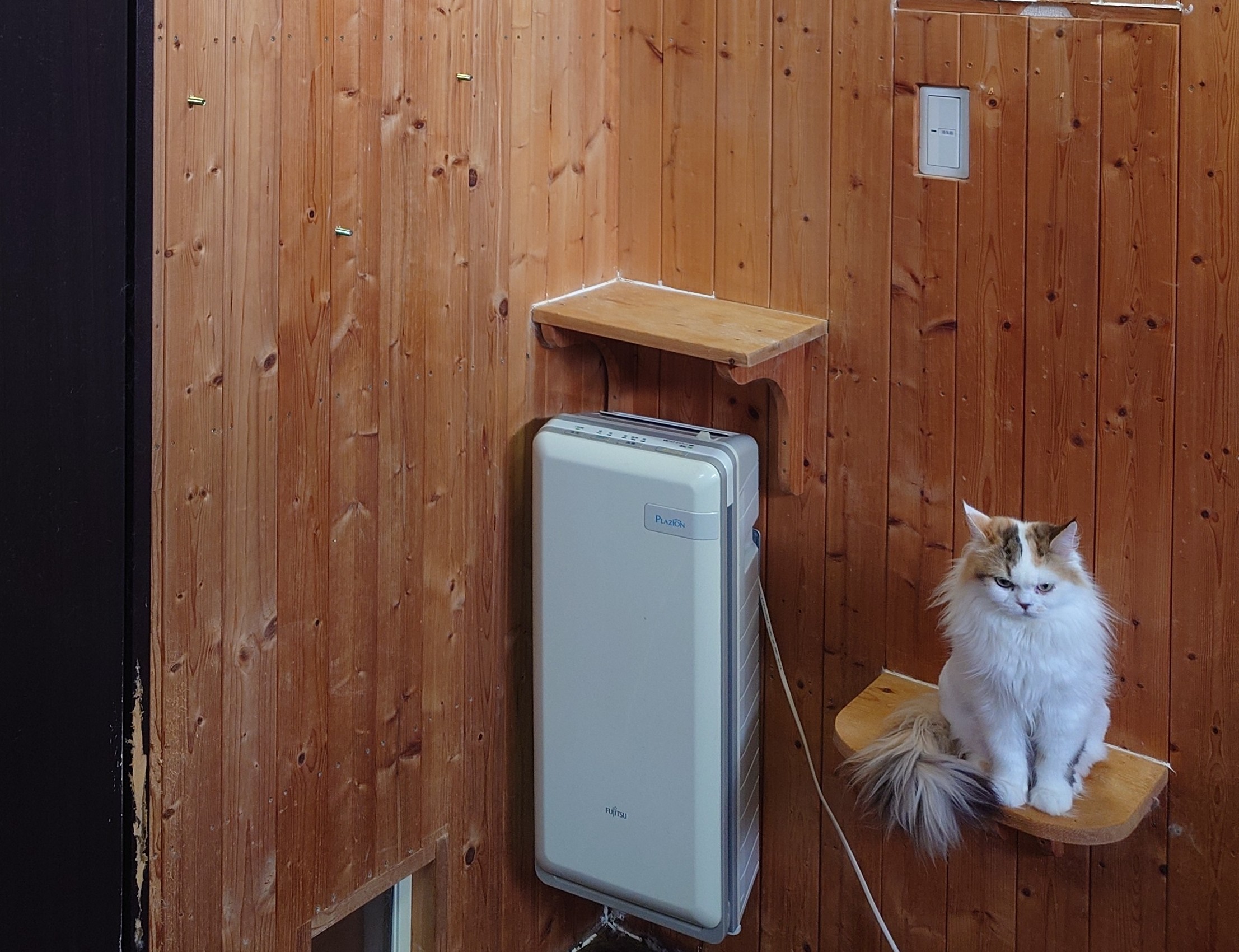 猫ベッド設置前の壁と棚